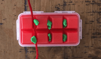 Don’t Let Plaque Stick Around! Teach Kids to Floss Project