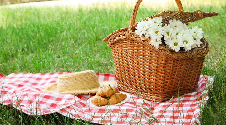 Packing a nutritious, delicious and tooth-friendly picnic doesn’t need to be hard! Next time you head to the park, backyard, or wherever your picnic is, be sure to include these tooth-friendly foods!